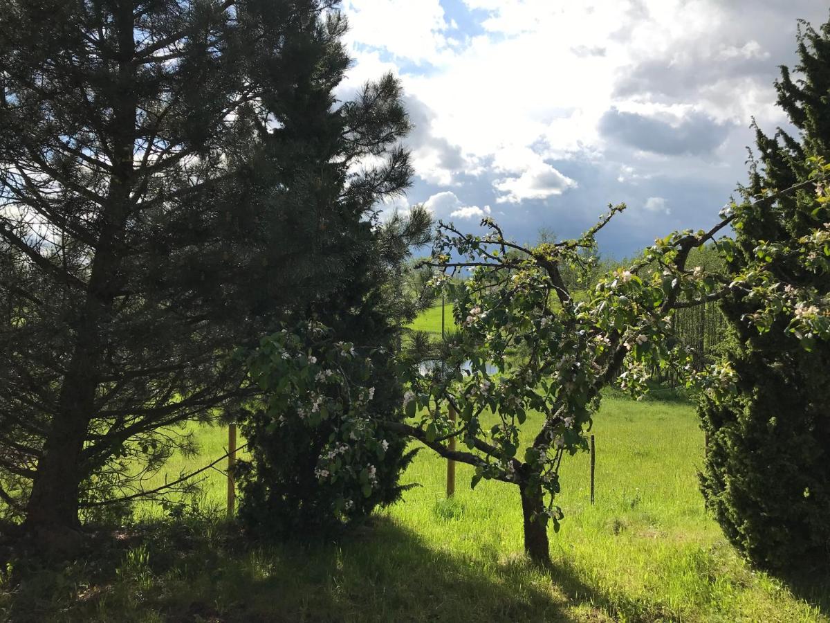 Siedlisko Na Gorce Villa Zalec Exteriör bild