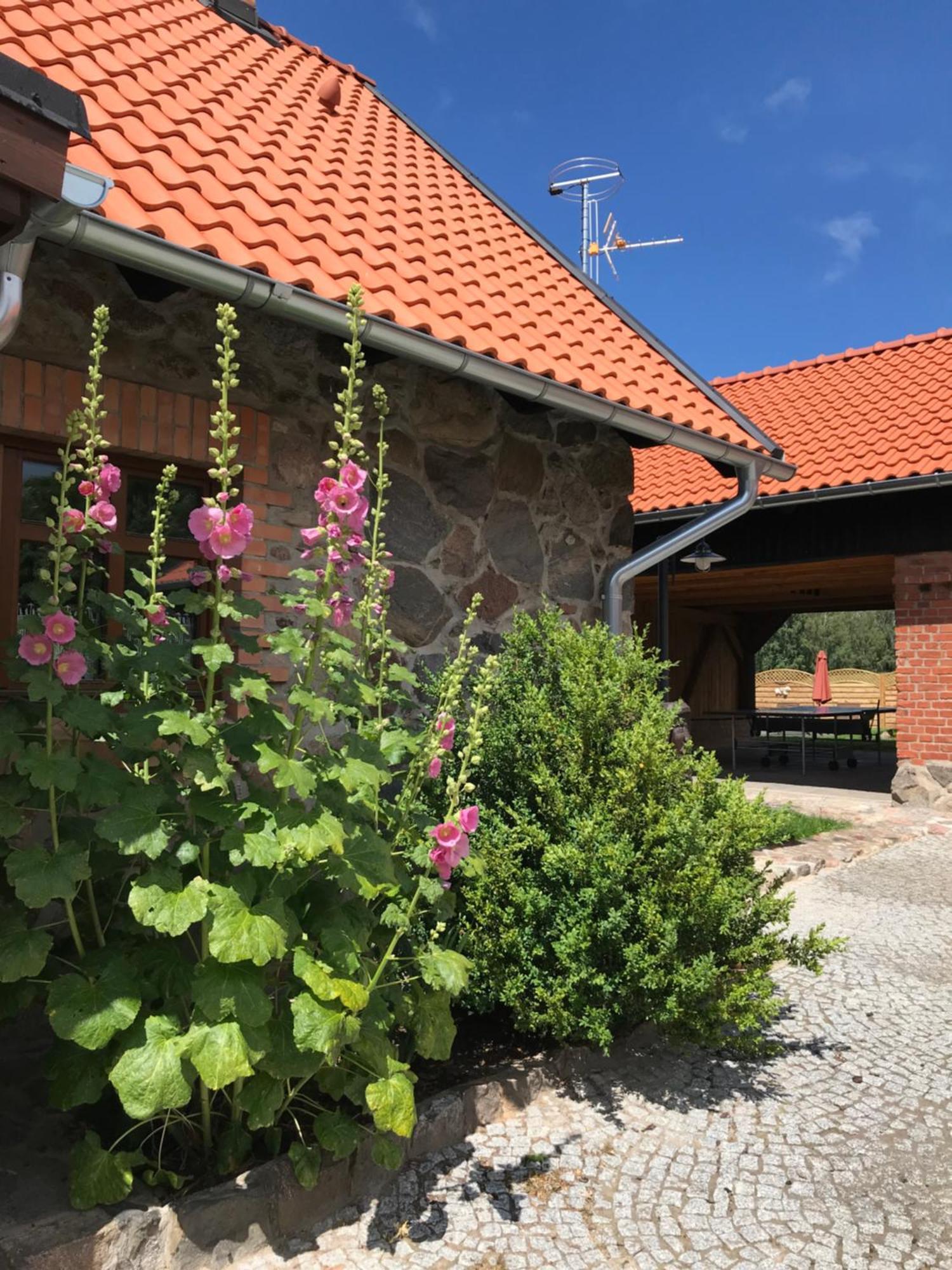 Siedlisko Na Gorce Villa Zalec Exteriör bild