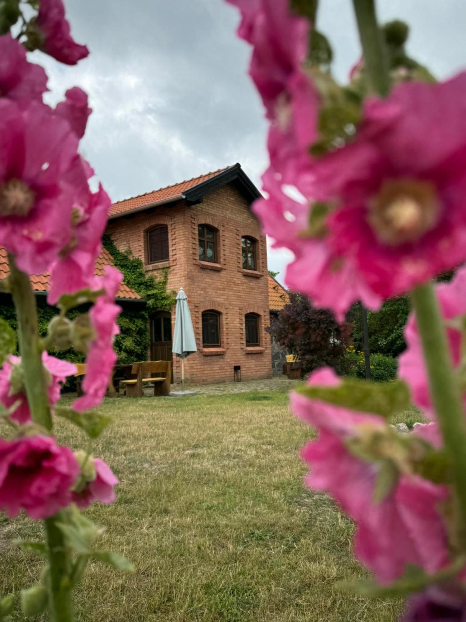 Siedlisko Na Gorce Villa Zalec Exteriör bild